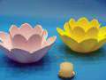 BLUMENLICHT Schwimmbad