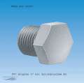 PVC Stopfen 2" mit Zylindrischem AG
